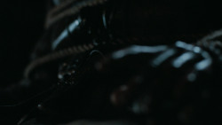 extant_GameOfThrones_6x09-BattleOfTheBastards_5777
