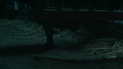 extant_GameOfThrones_6x09-BattleOfTheBastards_5955