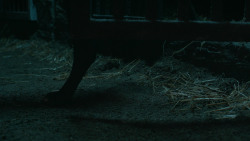 extant_GameOfThrones_6x09-BattleOfTheBastards_5956
