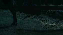 extant_GameOfThrones_6x09-BattleOfTheBastards_5957
