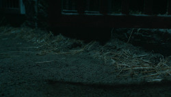extant_GameOfThrones_6x09-BattleOfTheBastards_5958