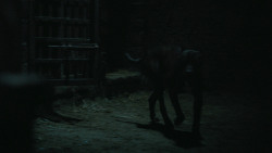 extant_GameOfThrones_6x09-BattleOfTheBastards_5963