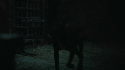 extant_GameOfThrones_6x09-BattleOfTheBastards_5965