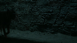 extant_GameOfThrones_6x09-BattleOfTheBastards_6019