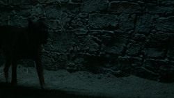 extant_GameOfThrones_6x09-BattleOfTheBastards_6020