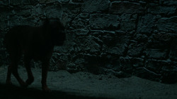extant_GameOfThrones_6x09-BattleOfTheBastards_6021