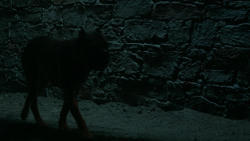extant_GameOfThrones_6x09-BattleOfTheBastards_6022