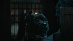 extant_GameOfThrones_6x09-BattleOfTheBastards_6043