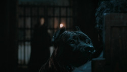 extant_GameOfThrones_6x09-BattleOfTheBastards_6044