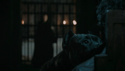 extant_GameOfThrones_6x09-BattleOfTheBastards_6053