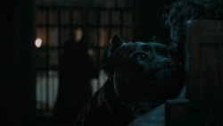 extant_GameOfThrones_6x09-BattleOfTheBastards_6055
