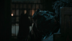 extant_GameOfThrones_6x09-BattleOfTheBastards_6056