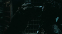 extant_GameOfThrones_6x09-BattleOfTheBastards_6059