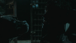 extant_GameOfThrones_6x09-BattleOfTheBastards_6066