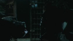extant_GameOfThrones_6x09-BattleOfTheBastards_6067