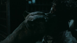 extant_GameOfThrones_6x09-BattleOfTheBastards_6076