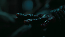 extant_GameOfThrones_6x09-BattleOfTheBastards_6104