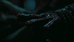 extant_GameOfThrones_6x09-BattleOfTheBastards_6105
