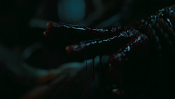 extant_GameOfThrones_6x09-BattleOfTheBastards_6106