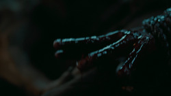 extant_GameOfThrones_6x09-BattleOfTheBastards_6108