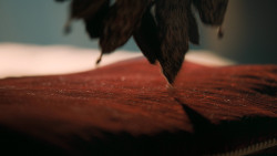 extant_GameOfThrones_6x10-TheWindsOfWinter_0069