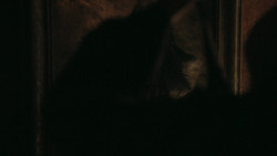 extant_GameOfThrones_6x10-TheWindsOfWinter_0328