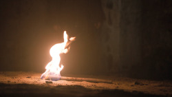 extant_GameOfThrones_6x10-TheWindsOfWinter_1253