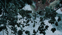 extant_GameOfThrones_6x10-TheWindsOfWinter_5243
