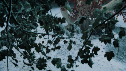 extant_GameOfThrones_6x10-TheWindsOfWinter_5244