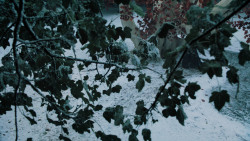 extant_GameOfThrones_6x10-TheWindsOfWinter_5245