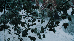 extant_GameOfThrones_6x10-TheWindsOfWinter_5246