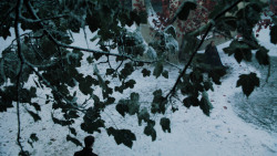 extant_GameOfThrones_6x10-TheWindsOfWinter_5247