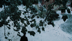 extant_GameOfThrones_6x10-TheWindsOfWinter_5248