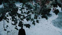 extant_GameOfThrones_6x10-TheWindsOfWinter_5249