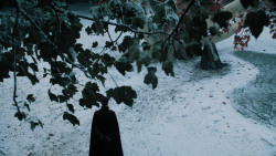extant_GameOfThrones_6x10-TheWindsOfWinter_5251