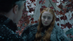 extant_GameOfThrones_6x10-TheWindsOfWinter_5317