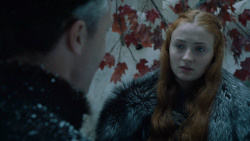 extant_GameOfThrones_6x10-TheWindsOfWinter_5333