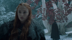 extant_GameOfThrones_6x10-TheWindsOfWinter_5453