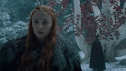 extant_GameOfThrones_6x10-TheWindsOfWinter_5454