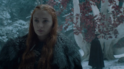 extant_GameOfThrones_6x10-TheWindsOfWinter_5455