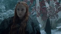 extant_GameOfThrones_6x10-TheWindsOfWinter_5457