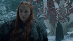 extant_GameOfThrones_6x10-TheWindsOfWinter_5459
