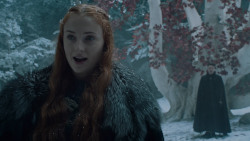 extant_GameOfThrones_6x10-TheWindsOfWinter_5462