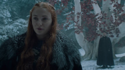extant_GameOfThrones_6x10-TheWindsOfWinter_5463