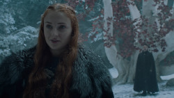 extant_GameOfThrones_6x10-TheWindsOfWinter_5465