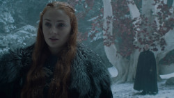 extant_GameOfThrones_6x10-TheWindsOfWinter_5471