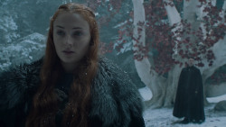 extant_GameOfThrones_6x10-TheWindsOfWinter_5476