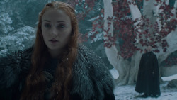 extant_GameOfThrones_6x10-TheWindsOfWinter_5482