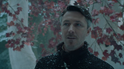 extant_GameOfThrones_6x10-TheWindsOfWinter_5499