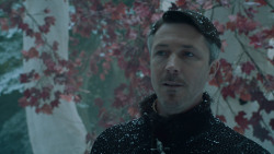 extant_GameOfThrones_6x10-TheWindsOfWinter_5500